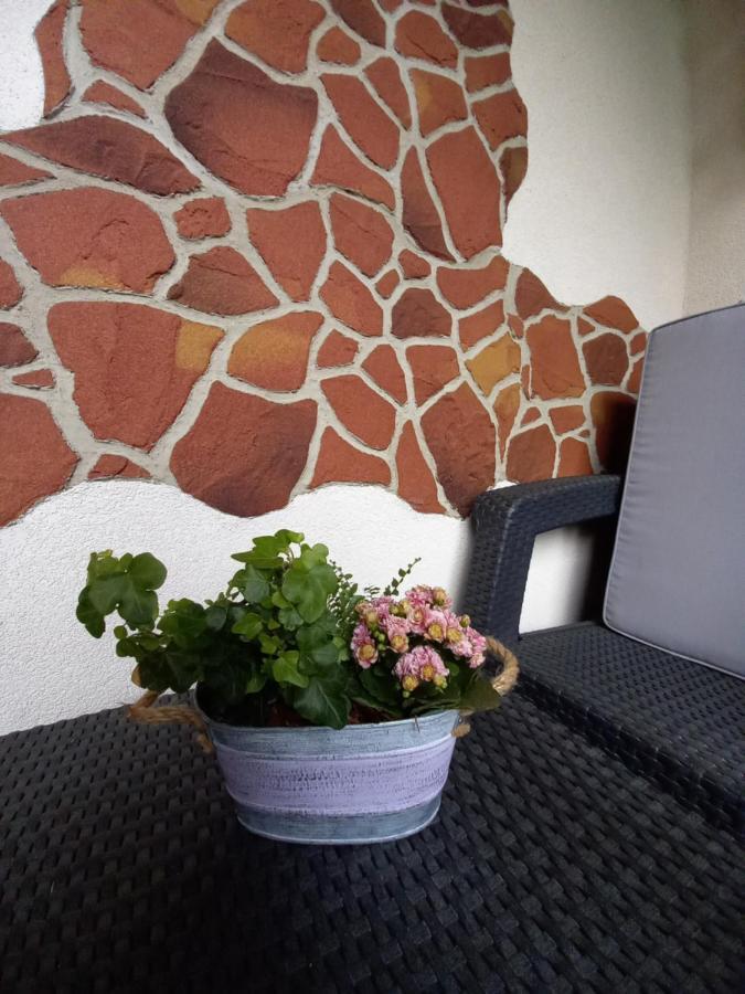Apartman Erika - Бешеньова Екстер'єр фото