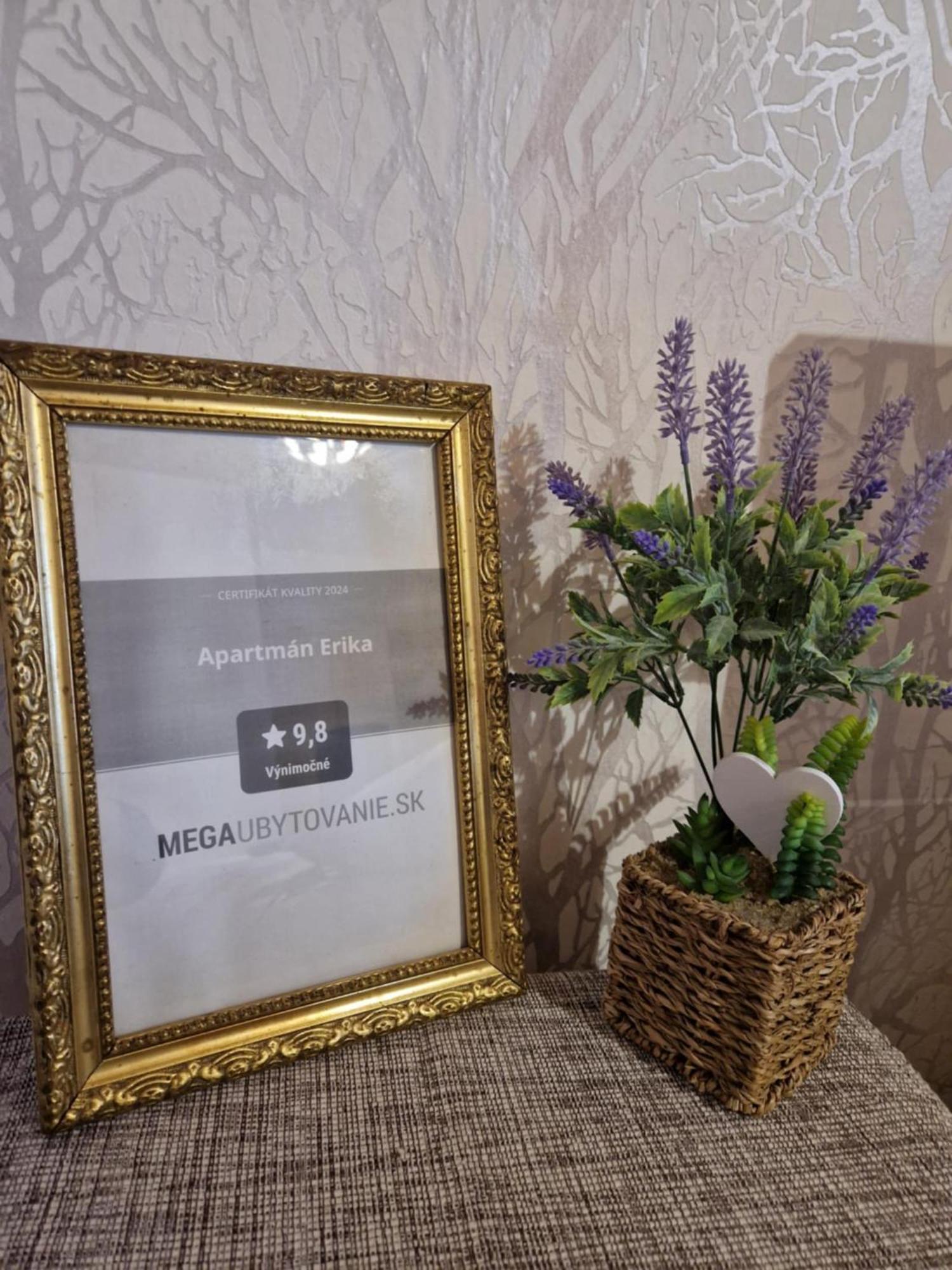 Apartman Erika - Бешеньова Екстер'єр фото